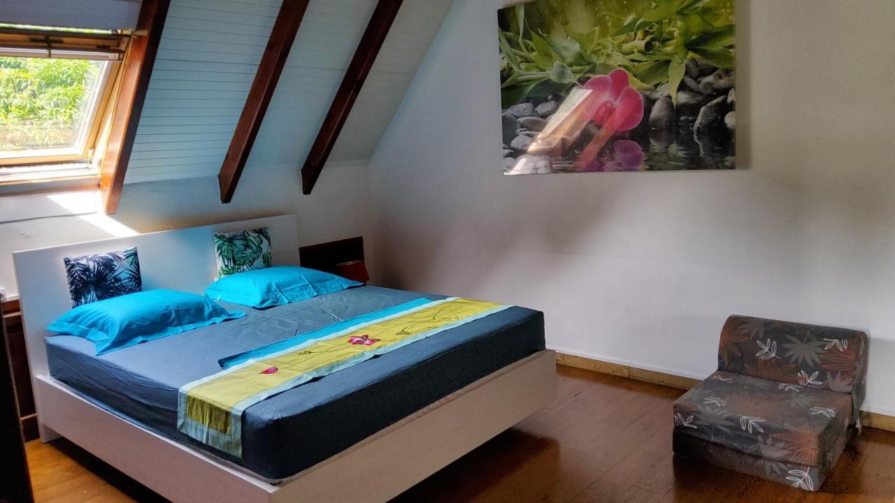 Appartement Les Bougainvilliers Vue Mer Сент-Клод Екстер'єр фото