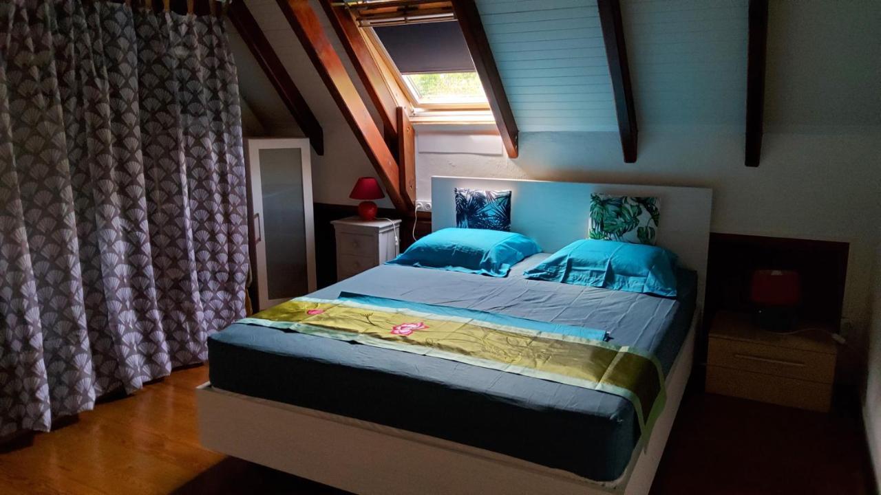 Appartement Les Bougainvilliers Vue Mer Сент-Клод Екстер'єр фото
